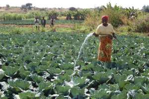 Ghana Gets Support From The World Bank To Scale Up Commercial Agriculture