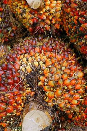 Palm oil
