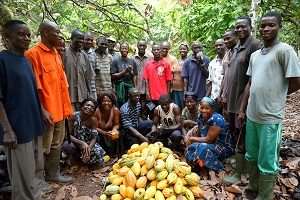Cocoa farmers call for pension scheme
