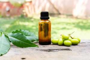 Neem Oil, a Natural Contraceptive for Pregnancy Prevention
