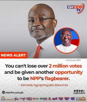 Of Vain Tongues — A Lesson From The Archives Of Npp’s Electoral History.
