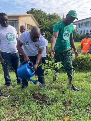 Central Region exceeds its tree planting target