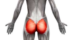 Prolonged Sitting, Genetics, And Low Gluteal Muscle Mass: Key Reasons For Flat Buttocks