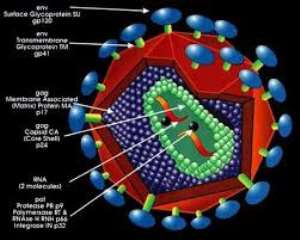 Why Retrovirus In Healthy People Doesnt Cause AIDS But Other Diseases?