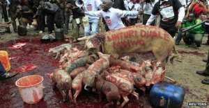 CR: Outbreak of African Swine Fever Confirmed