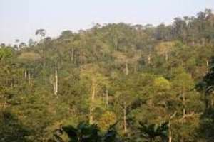Make Atewa Forest A National Park  Concerned Citizens
