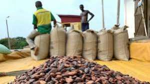 Trading houses risk losing $1billion over Ghana’s cocoa beans delivery delays