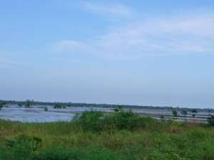Floodsdevastate Weta rice farming community