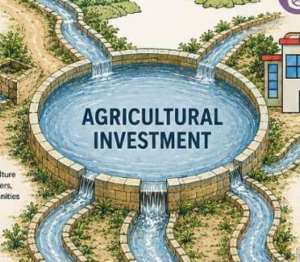 The Invisible Infrastructure of Rural Morocco: Why Investing in Agriculture is Investing in Public Health