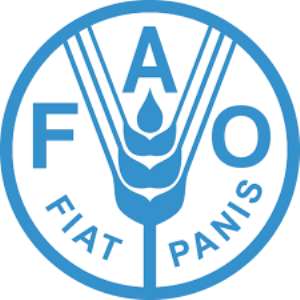 FAO hosts international experts to manage Fall Armyworm