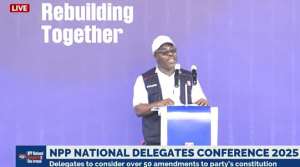 Let me be clear that NPP is ready to defend, protect itself in election 2028 – Otu Agorhom
