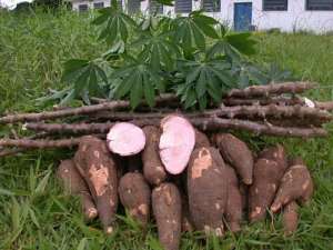 GIZ – GIAE and IITA targets job creation and increase in productivity of maize and cassava in Nigeria