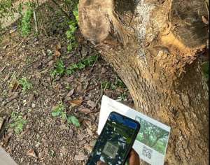 Faculty Of Pharmacy And Pharmaceutical Sciences, Knust Physic Garden Digitized