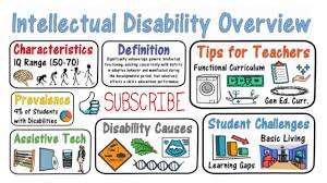 Tips on Intellectual Disability for Stakeholders