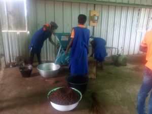 World Vision Using Shea Butter To Improve Livelihoods In Garu-Tempane