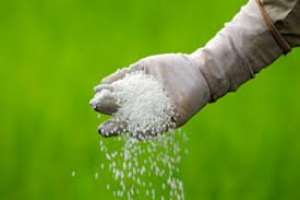 Farmers demand state clampdown on smuggling of subsidised fertilisers
