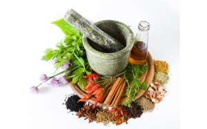 Group Want Fund To Promote Traditional Herbal Medicine Practice