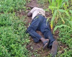 Farmer arrested for shooting man dead attempting steal yam from farm at Abongo No. 1