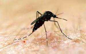 Malaria prevalence reduces marginally