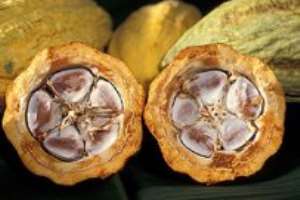 6 Cocoa Farmers Awarded In Amansie West