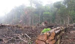NGO Partner Community To Protect Forest Reserves