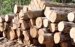 Seized rosewood to be used for National Cathedral construction – Lands Minister