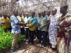 Krachi Nchumuru Begins Volta Cashew Plantation