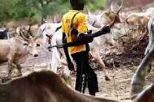 Fulani Herdsmen Herding With An Assault Riffle