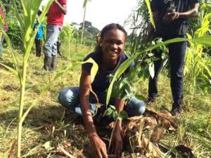 Trees Aid Planting 900,000 Trees Along Yendi Dakar River