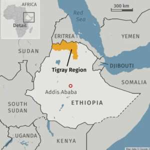 Whats Wrong With U.S. Policy For Ethiopia and Africa?