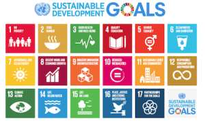 Partnerships For The Sustainable Development Goals: An Understanding Of It, The Way Forward To A Better World
