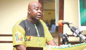 Michael Okyere Baafi Of The Ghana Free Zones Authority