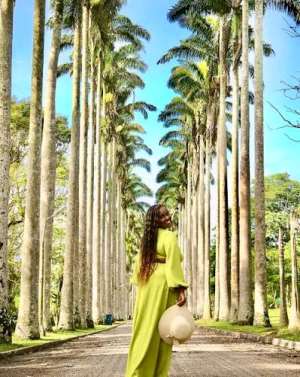 Aburi Botanical Gardens Generates Millions, But Are We Maximising Its Potential?