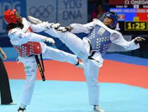 How The Countries Fared At the 1st Ghana Open Taekwondo Championship