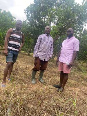 Offinso North: Big Boost For Farmers As Former NDC Parliamentary Aspirant Brings In Massive Patronage To Farming