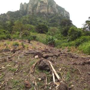 Adaklu Mountain not safe for sight-seeing now - NADMO