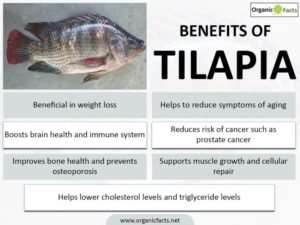 8 Amazing Benefits of Tilapia
