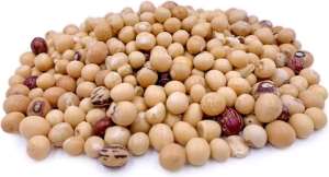 Bambara Groundnut: Africa’s Wonder Crop