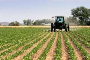 How realistic is agricultural modernisation in Ghana?