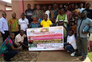Mango Farmers In Techiman Pledges To Boost Economy With Lucrative Returns