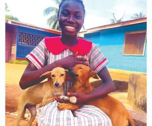 Coalition intensifies campaign to outlaw animal cruelty