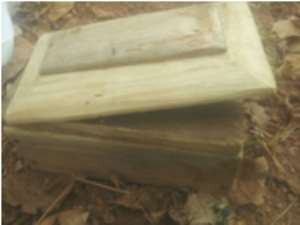 The Strange Coffin Found In The Cemetery