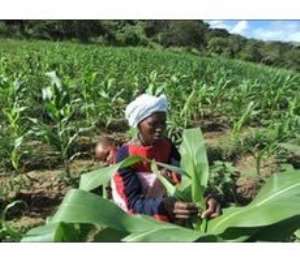 Peasant farmers to benefit from 2017 budget