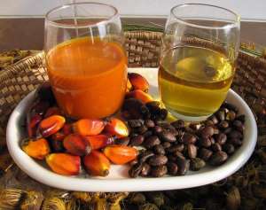 Palm kernel oil, meal and shall
