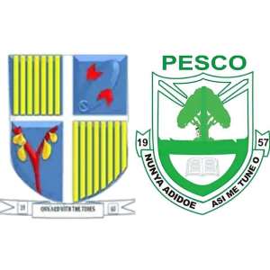 STEMNOVATION: Bueman, Peki SHSs defy odds to win Zone 6 Stem Competition