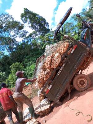 Rubber Processors warn of industry crisis over smuggling