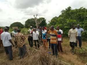 Planting For Food And Jobs Benefit 200 Farmers In Northern Region