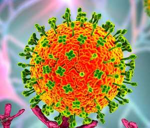 What is Langya Virus, the new virus discovered in China?