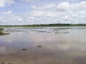 Residents Cry Over Polluted Dam Due To Open Defecation
