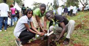 Govt Slashes Allowance Of Afforestation Staff